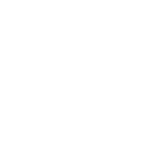 CV